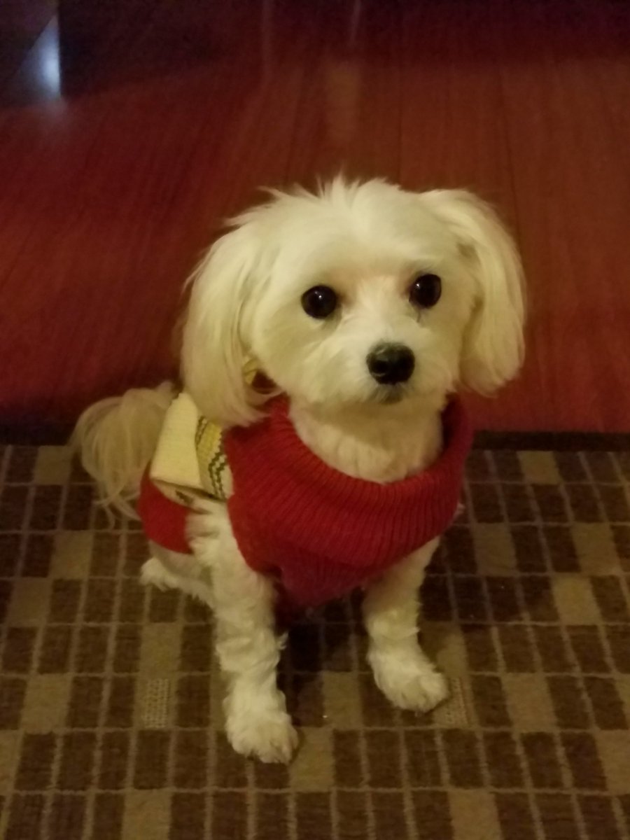 Jessie Blingbling (@jessieblingbli1) on Twitter photo 