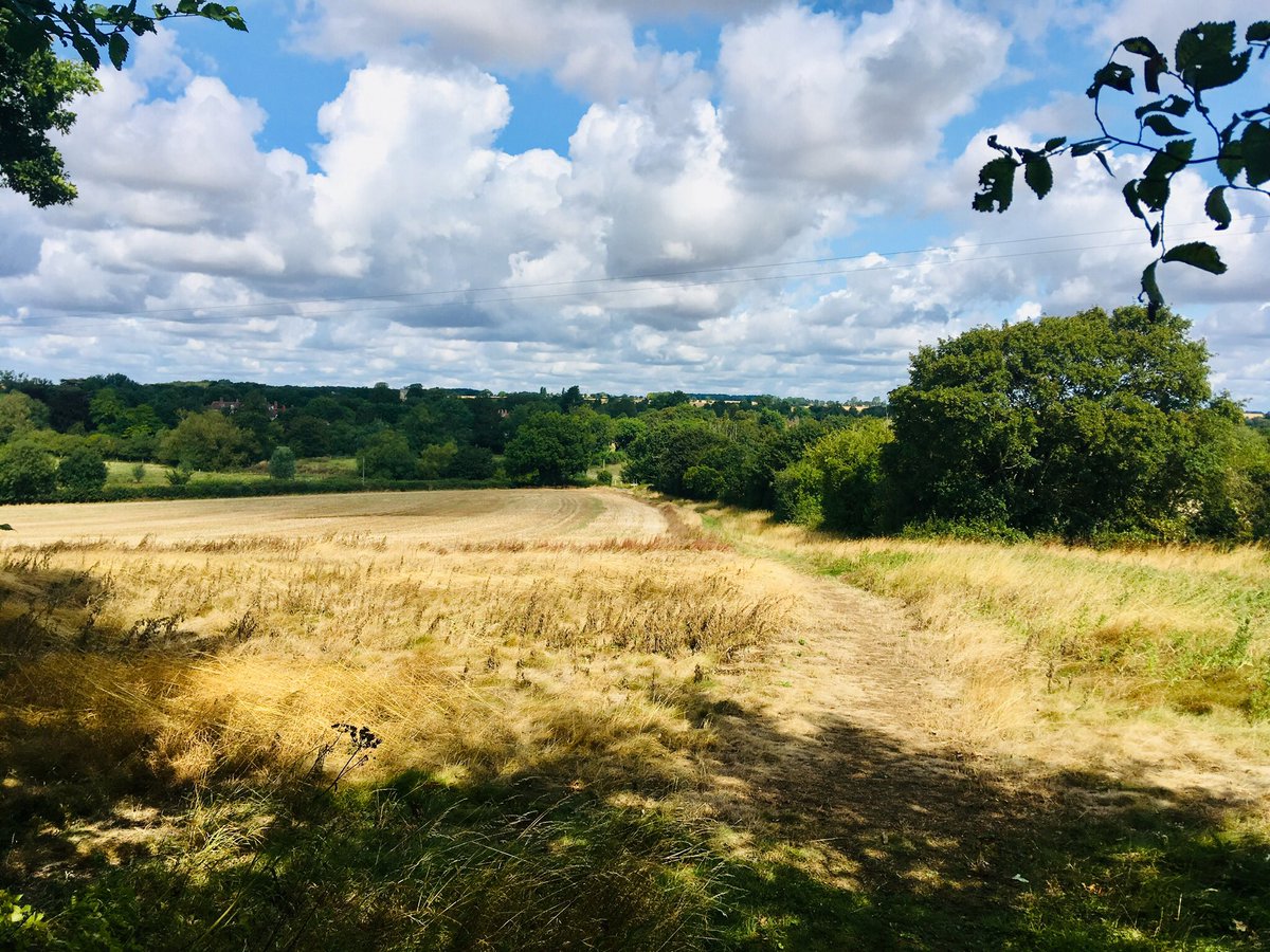 Adrian Kidd tweet media