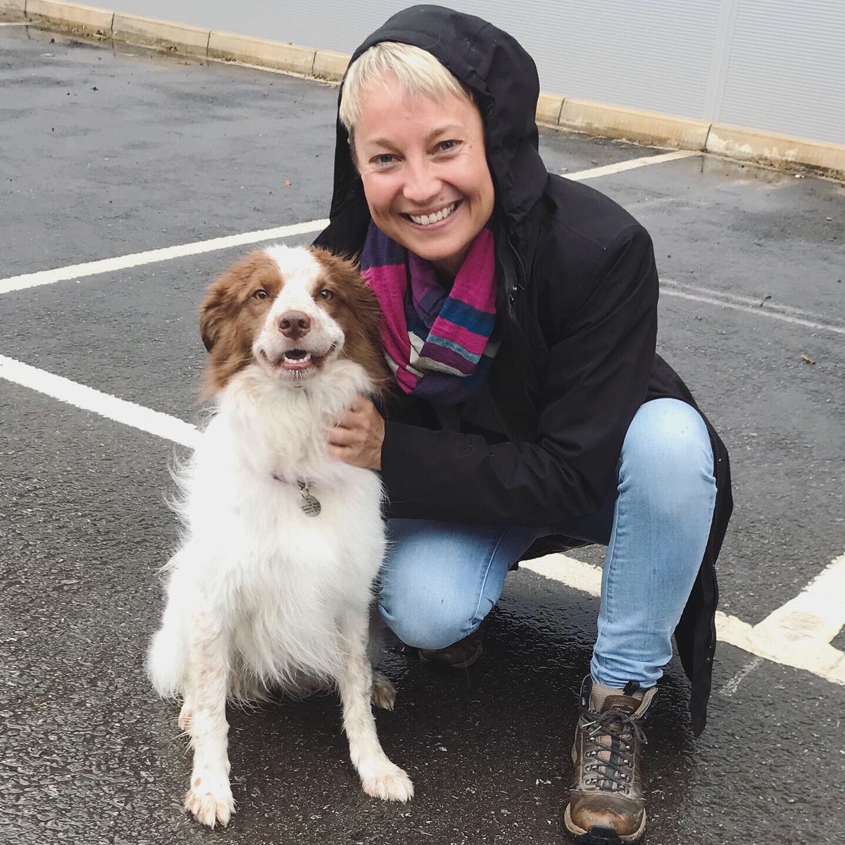 DaniBlueUK's tweet photo. An absolute pleasure to work on set with this beauty today!
#setlife #acting #actor #actorslife #collie #dogs #dogsonset #commercial #neverworkworkwithanimals #work #commercial https://t.co/sMrU3DqqJL
