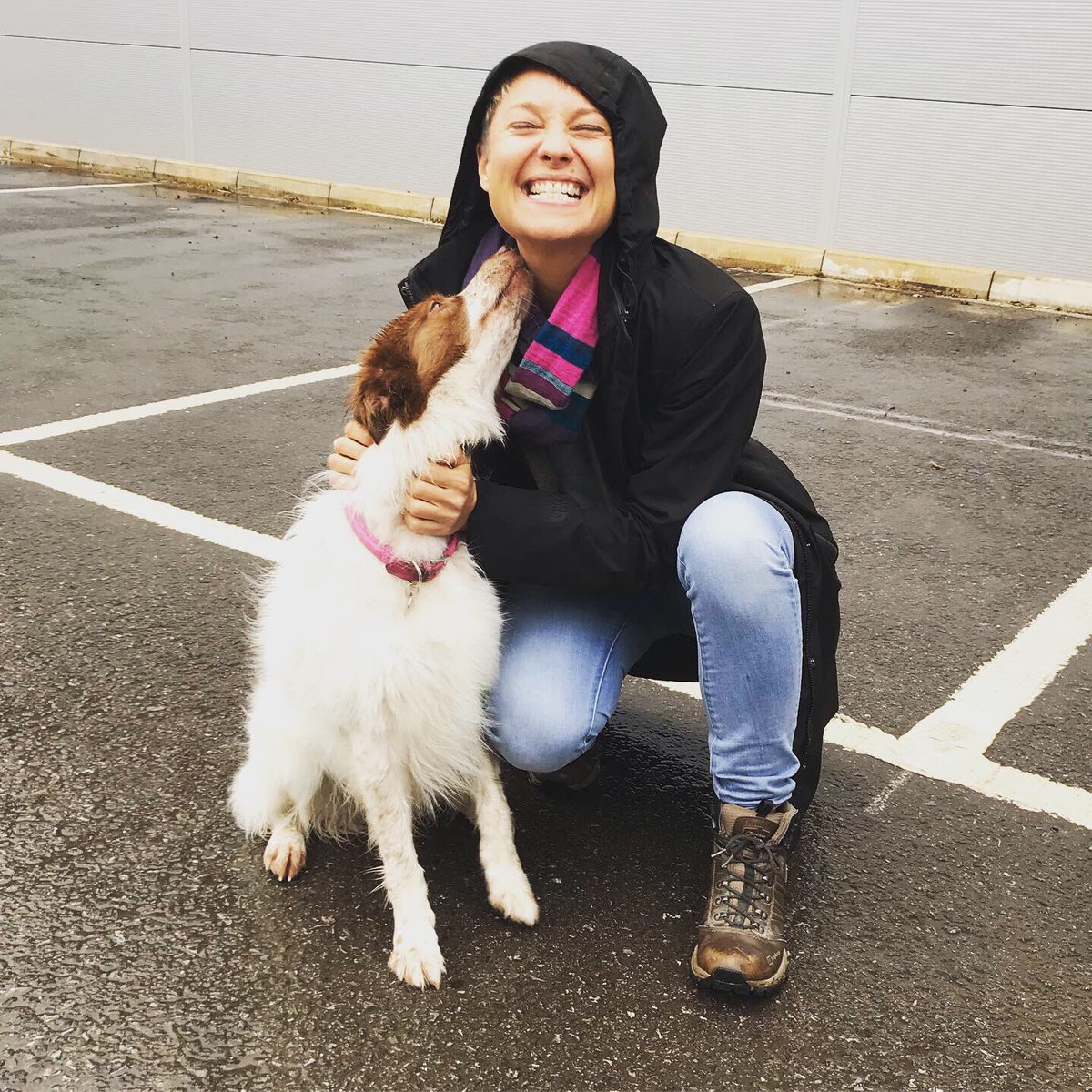 DaniBlueUK's tweet photo. An absolute pleasure to work on set with this beauty today!
#setlife #acting #actor #actorslife #collie #dogs #dogsonset #commercial #neverworkworkwithanimals #work #commercial https://t.co/sMrU3DqqJL