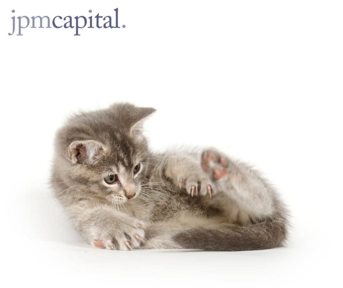 jpm_ltd's tweet image. Do you feel like your chasing your tail awaiting payout from Commercial Contracts?

JPM Capital have a Working Capital facility that can help bridge the gap.. 

01244 207 276 / info@jpmcapital.co.uk 

#cashflow #commercial #businessfinance #commercialcontracts #workingcapital