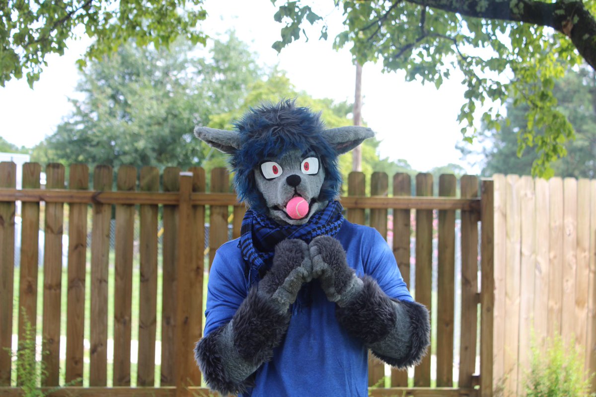RealCaileanPup's tweet photo. Happy fursuit Friday everyone. I hope you’re all having an amazing day. Finally uploading some pics that I took with the wonderful diva @TURBO_WOLF_ 

#FursuitFriday #furry #fursuit https://t.co/JmC5rWdOGm