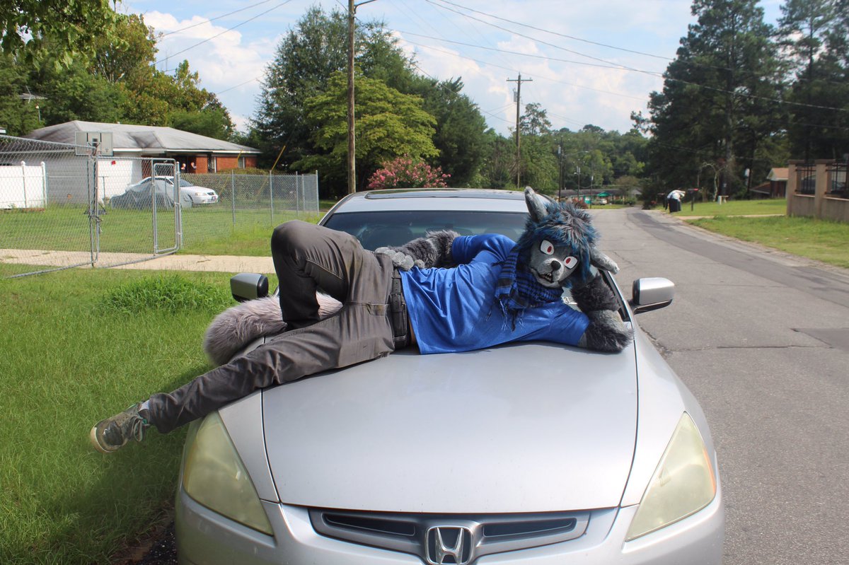 RealCaileanPup's tweet photo. Happy fursuit Friday everyone. I hope you’re all having an amazing day. Finally uploading some pics that I took with the wonderful diva @TURBO_WOLF_ 

#FursuitFriday #furry #fursuit https://t.co/JmC5rWdOGm