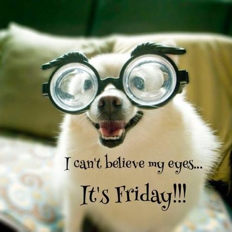 iSalus_Health's tweet photo. Oh yeah baby!!!  Make it a great one! 
#FridaysAreTheBest #TheWeekendIsHere #FunButSafe
https://t.co/lFgTkS3g0p https://t.co/HL7qN2NiJR