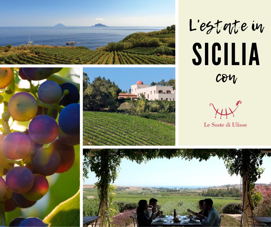 Uno dei BUONI MOTIVI per vivere l’estate in Sicilia con Le Soste di Ulisse è poter degustare un buon bicchiere di vino nei migliori wine resort e nelle strutture che uniscono la tradizione vitivinicola all’ospitalità autentica. #buonimotivi #estate #sicilia #wineresort #wine