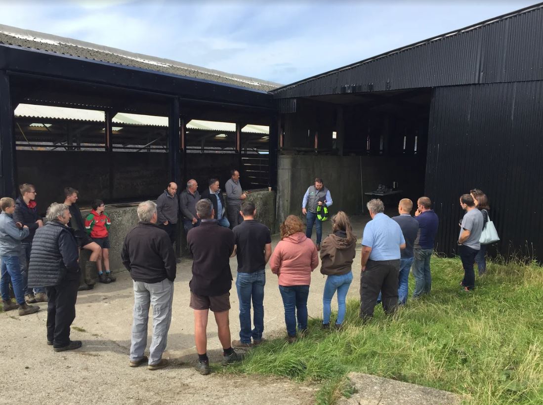 FarmingConnect's tweet photo. Great day yesterday at Orsedd Fawr discussing the benefits of automated heat detection in the field with Chris McGuirk from @moocallsensors, @BoomerBirch and @JessicaSimms11 from @cogentbreeding ,and vet Iwan Parry. https://t.co/tFsiRIpJEa