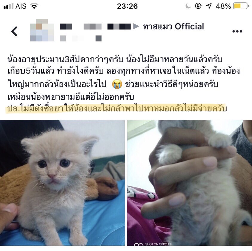 WR X Nana Hachi Hana tweet media