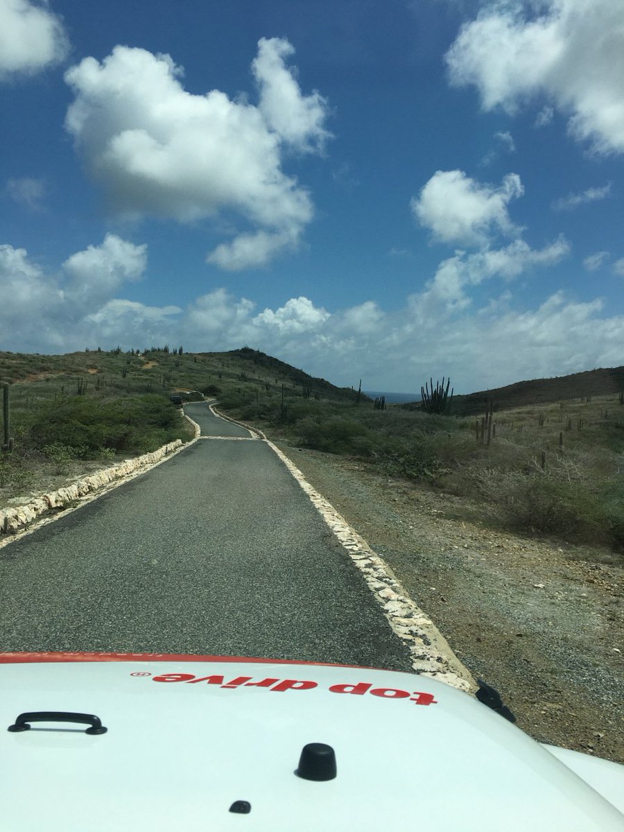 Trish Archer tweet media