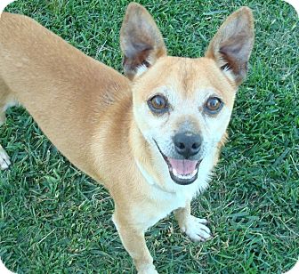 Linus Tech Tips tweet media