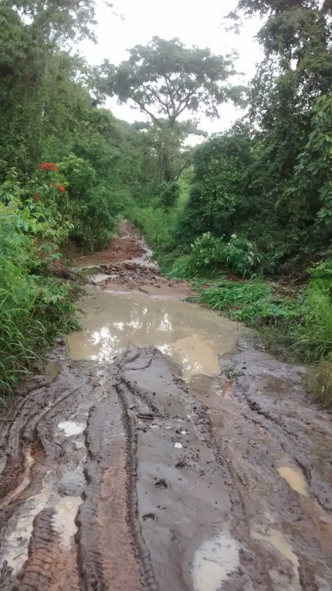 raulavellanedab's tweet photo. Estos son los caminos que nuestros tutores del @PTA_Colombia tienen que transitar a diario para cumplir con la misión del programa y llegar a las zonas más lejanas del país.  Es vital reconocer su esfuerzo y sacrificio a través del oportuno reembolso de sus gastos. @Mineducacion https://t.co/REX7rZgYi5