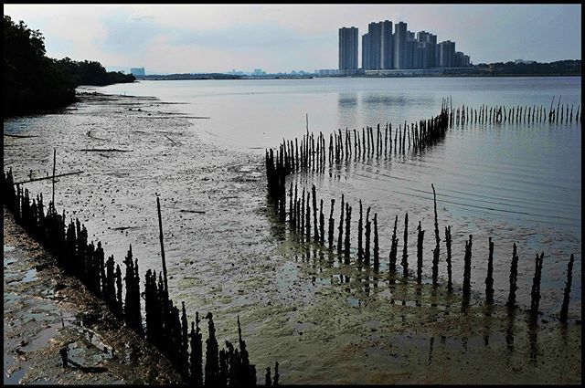 auma2's tweet photo. #singapore #singapour #singap #landscape #skyscrapers #sea #cityview #horizon #travel #travelphoto #travelpic #instatravel #travelgram https://t.co/RrDYT0dbab https://t.co/gYcYFKgMSG