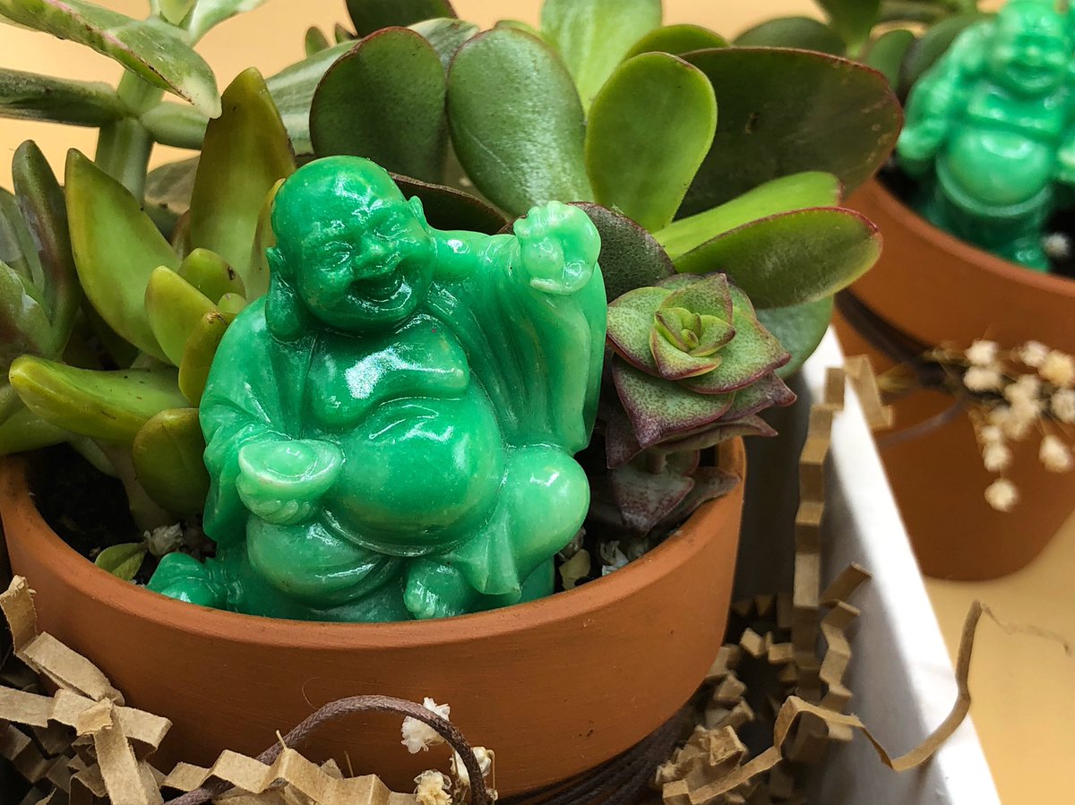 Happy Friday! Hope you and your Buddha’s...wait no, I mean...buddies have a great one!
•
•
•
•
•
#succulents #succulent #succulentlovers #succulove #succulentarrangements #buddha