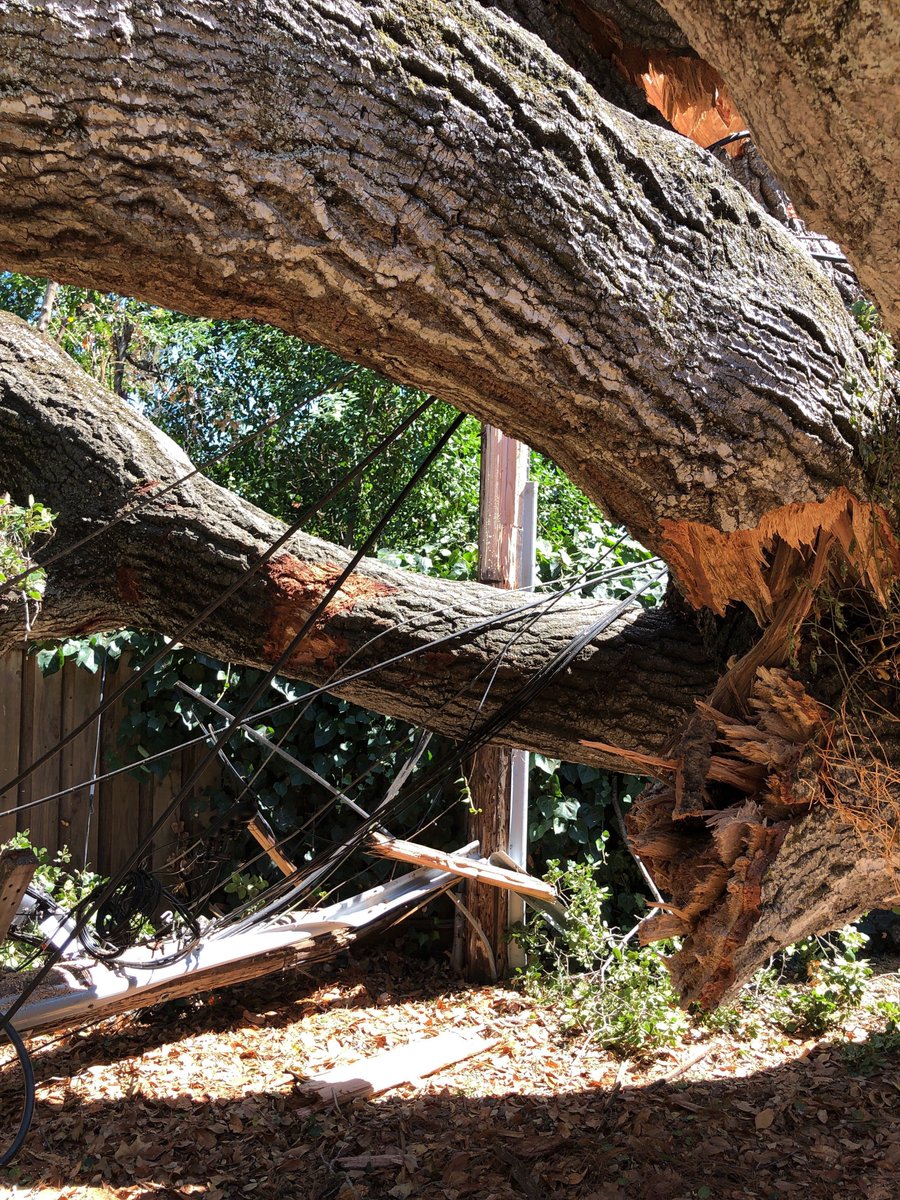 PaxioSupport's tweet image. Tree damage utility pole #atherton.  PAXIO customers are not currently affected.  However, outages are possible in the area as crews works to repair the damage.  #paxio #paxiosupport #outage