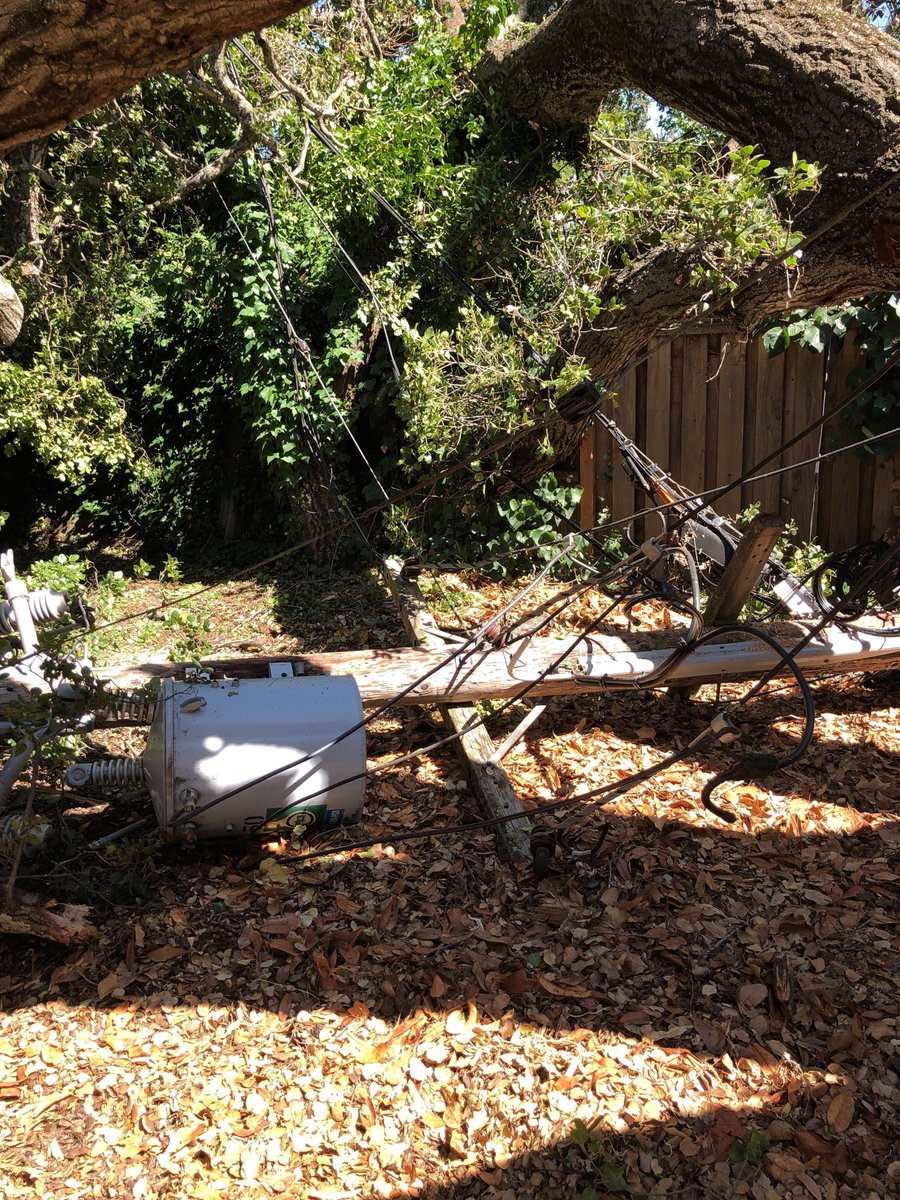 PaxioSupport's tweet image. Tree damage utility pole #atherton.  PAXIO customers are not currently affected.  However, outages are possible in the area as crews works to repair the damage.  #paxio #paxiosupport #outage