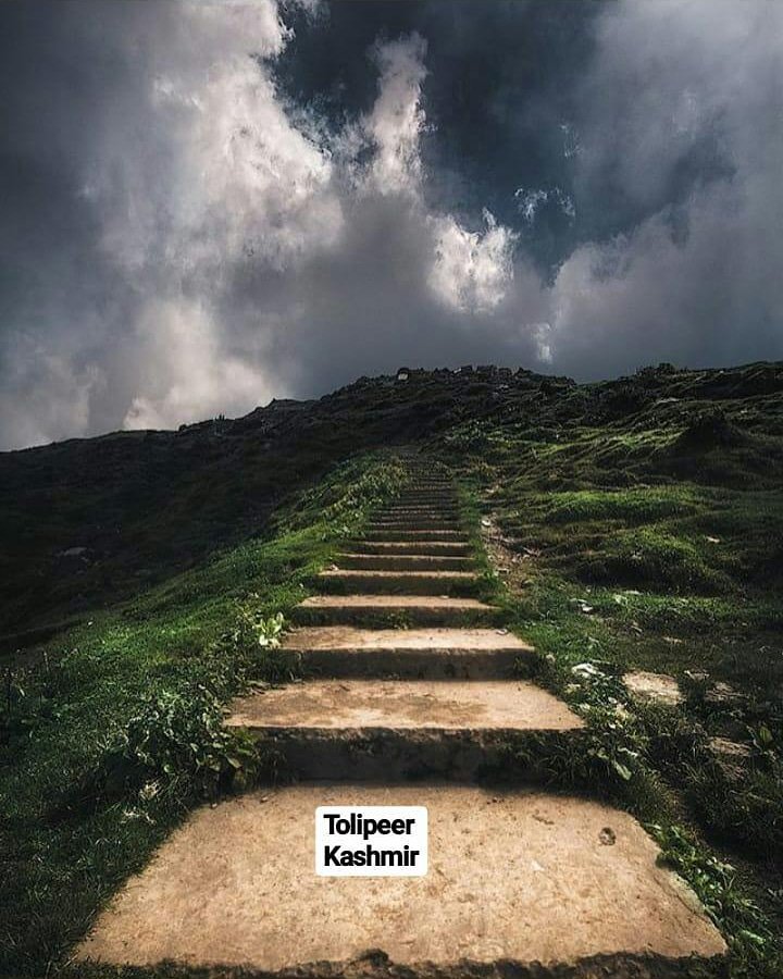 N_Mustafa_93's tweet photo. The paradise on earth "Kashmir"
One pic from the region "Tolipeer" has no parallel views in the world.
#Kashmir #Beautyofkashmir
#explore_pk
#epic_pk
#Goharabadvalley
#sagargor
#nature
#GilgitBaltistan
#UNforKashmirFreedom
#UN_LetKashmirisDecide
#gbians https://t.co/QYi6DKfcww