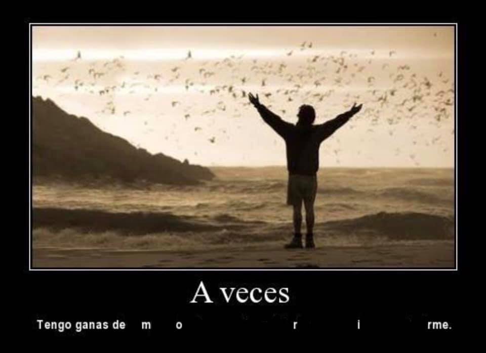 Javierposting's tweet photo. Hola de nuebo https://t.co/s3ATFLfg2K