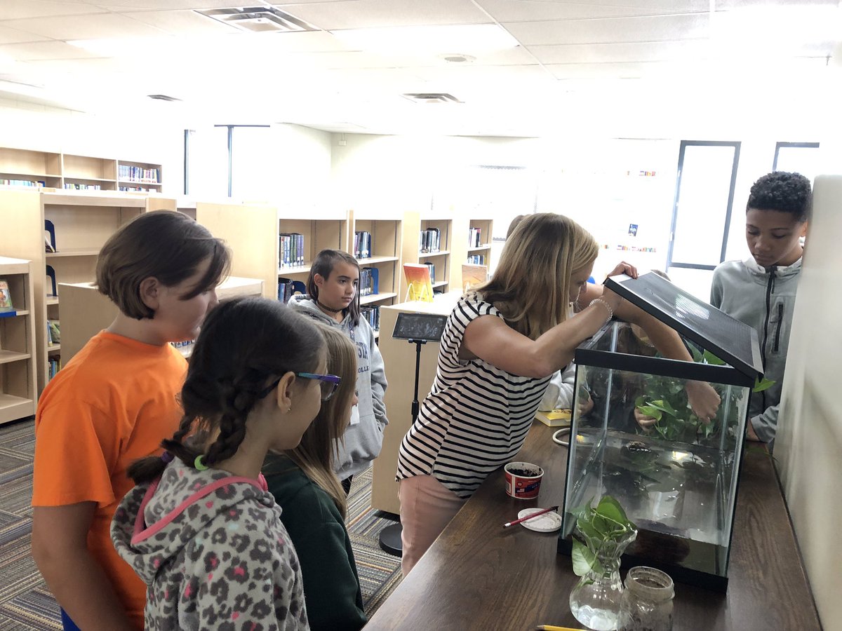 JMS_Eagles's tweet image. .@EmilyKHaverkamp and her students taking care of Gilbert today! She is the best! #LibraryMascot @mediozc3