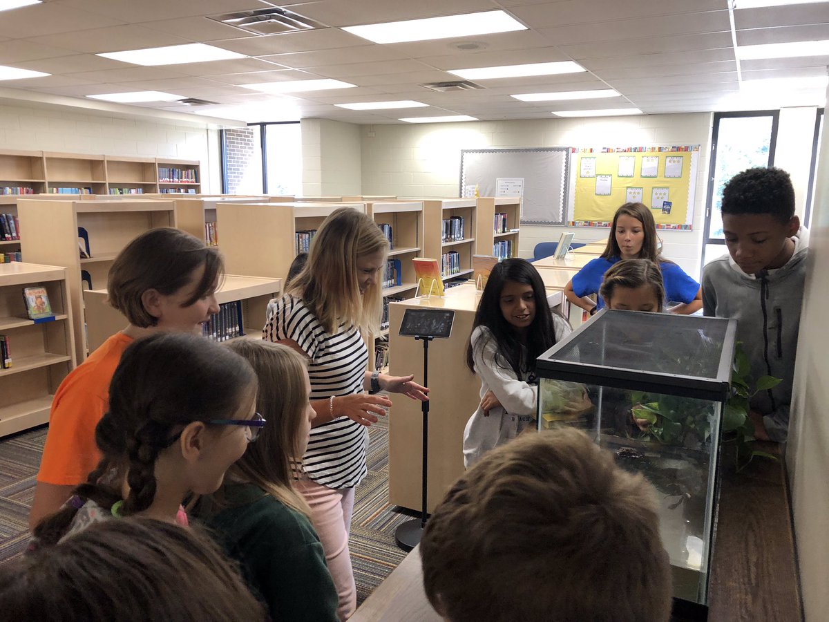 JMS_Eagles's tweet image. .@EmilyKHaverkamp and her students taking care of Gilbert today! She is the best! #LibraryMascot @mediozc3