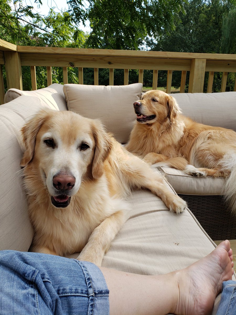 TailsFluff's tweet photo. Enjoying a beautiful day on the deck with Our Girl. ❤ https://t.co/C3JurwFg9P