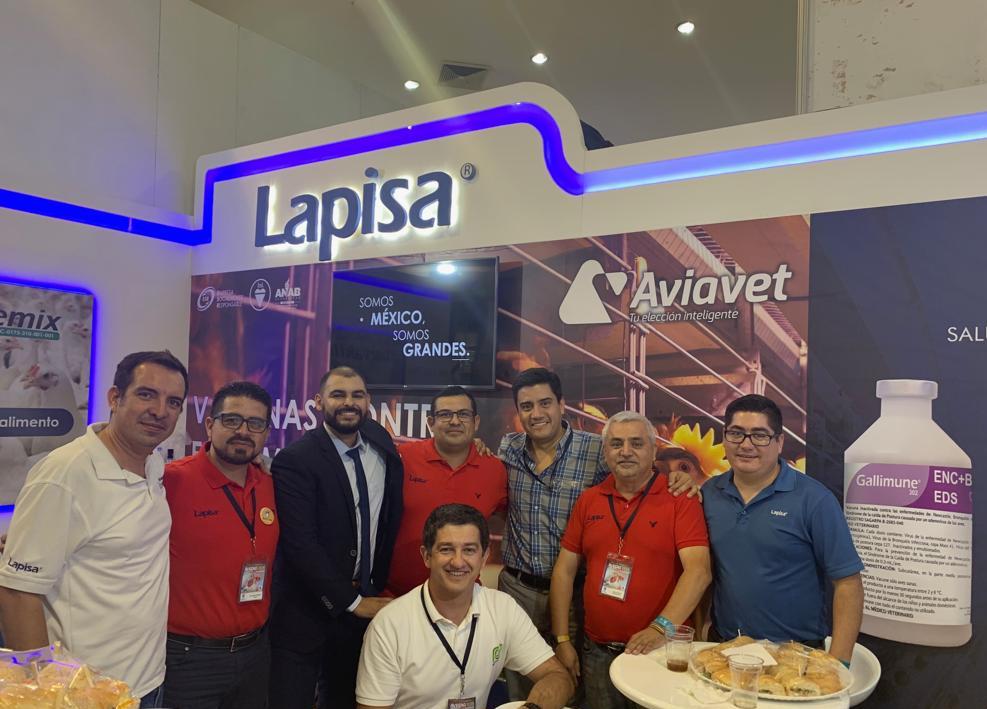 Lapisa tweet media