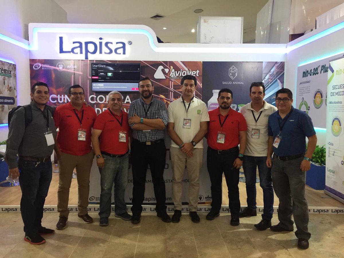 Lapisa tweet media