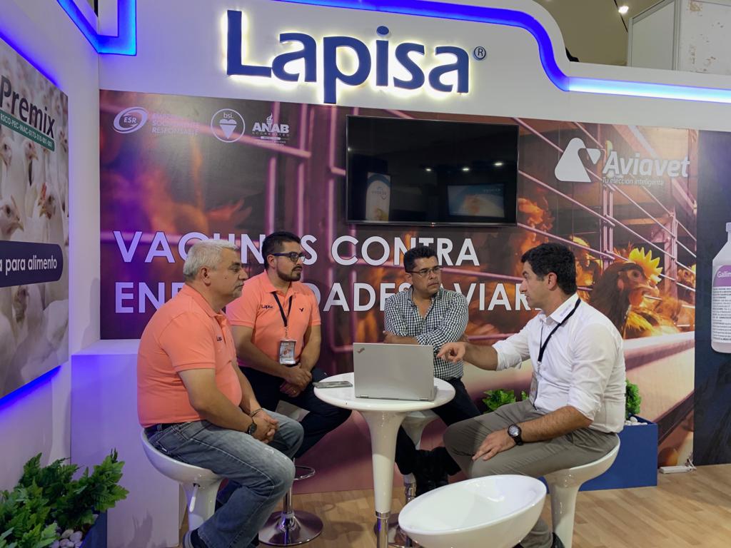 Lapisa tweet media