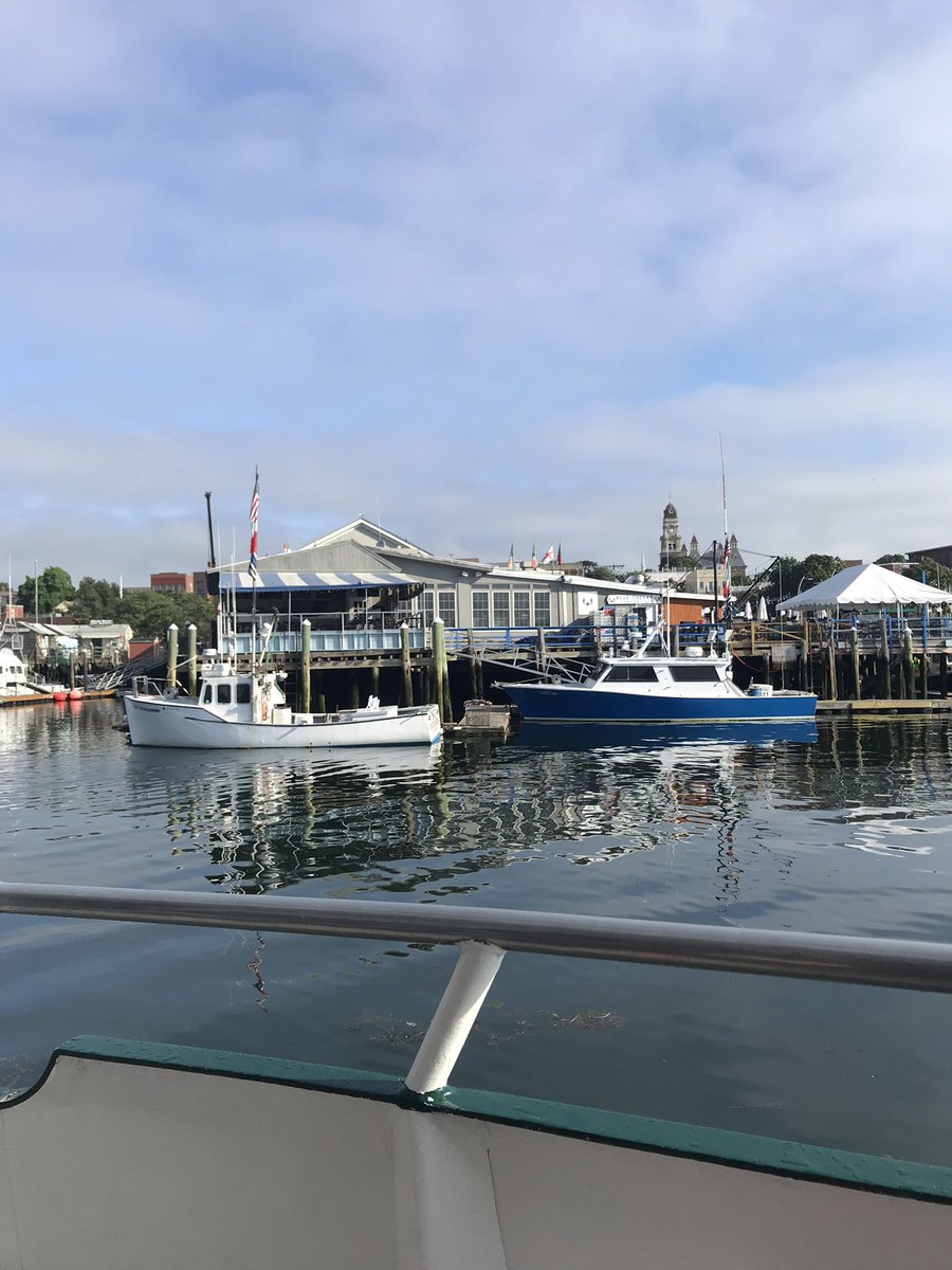 StanleyShineBox's tweet photo. Had a nice trip this morning with 7 Seas @WhaleWatching out of Cape Ann. Got a glimpse of these two when we left the dock. @FVHardMerch @CaptMarciano @HardMerchJoe #FVFalcon https://t.co/pTPI3ihq8X