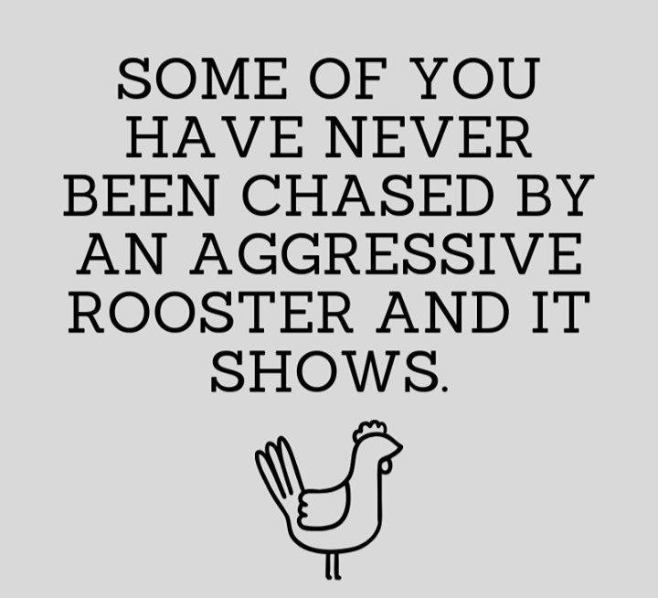 MichaelAodhan's tweet image. #CountryProblems #Culchie4Life 😂😂