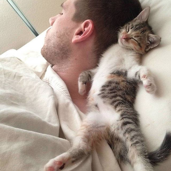 Playing is good and fun, but sometimes I need to....just chill 😹 l Source: Unknown

🔔 Don't miss out on any post - turn notifications ON

#CatsOfTwitter #catsofinstagram #catstagram #catlovers #ilovecats