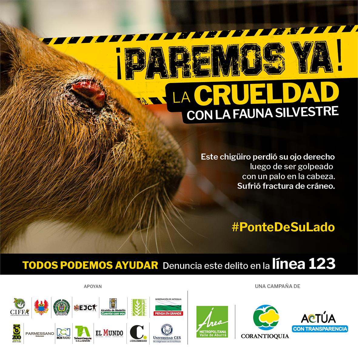 GobAntioquia's tweet photo. #PonteDeSuLado | Cuando compras fauna silvestre, pones en riesgo la vida de los animales y el futuro de nuestro planeta. https://t.co/VAnvOOeL3B