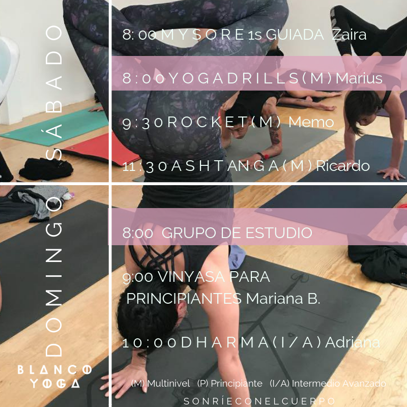 BLANCO YOGA tweet media