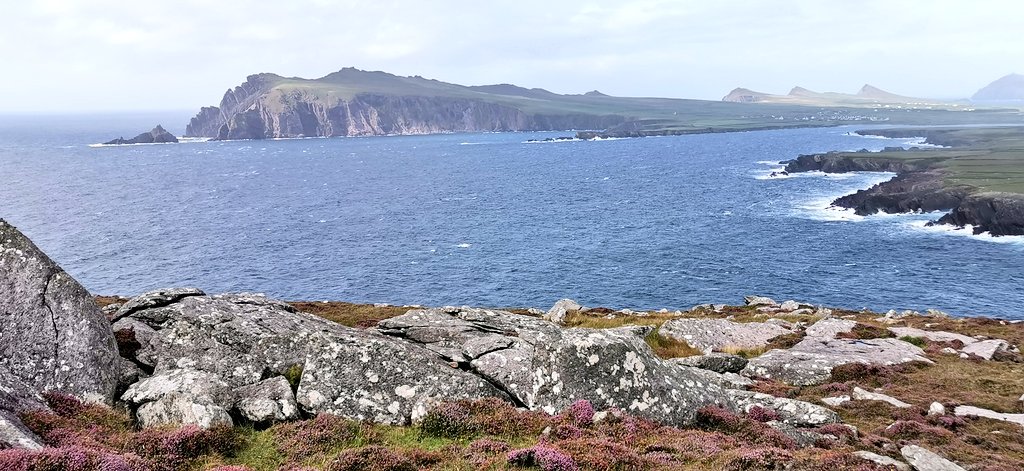 Llywarn's tweet photo. #SleaHeadDrive
@WildAtlanticWay @WAWKerry
#InstantIrlande @VacancesIrlande @DiscoverIreland @Failte_Ireland 🇮🇪☘️ https://t.co/rdVJhDjhg1
