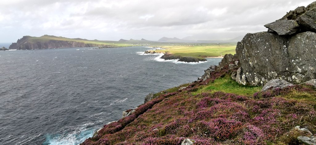 Llywarn's tweet photo. #SleaHeadDrive
@WildAtlanticWay @WAWKerry
#InstantIrlande @VacancesIrlande @DiscoverIreland @Failte_Ireland 🇮🇪☘️ https://t.co/rdVJhDjhg1