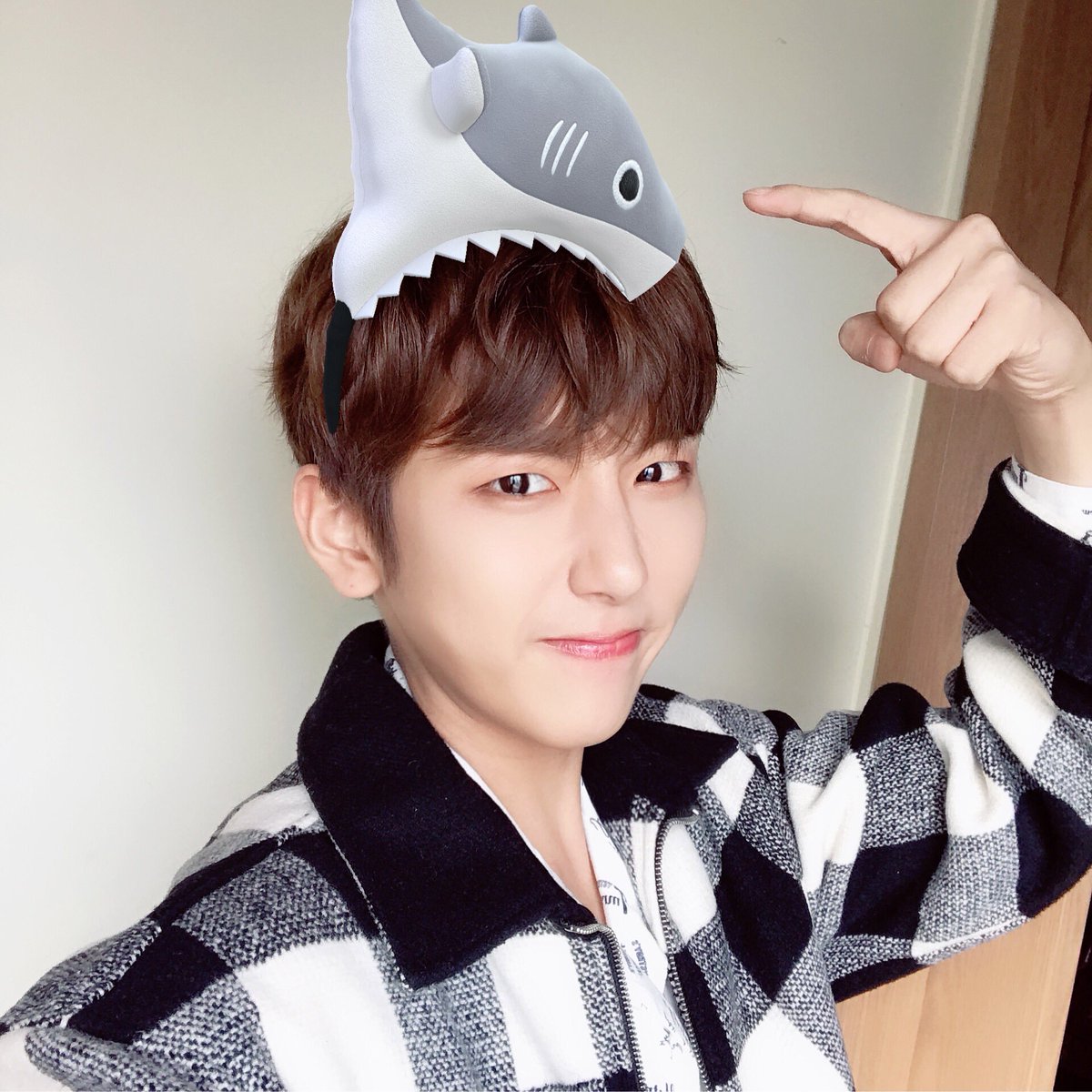MYTEEN_SPAIN's tweet photo. [TRAD]
190207/Twitter 💙
[#Eunsu] ¿Conocéis #Chronicle de #Kanjani8?
Es muy interesante.❤
“MV hecho en un ascensor.“
Uno más😊 ¡#OruOru!🤗 
@MYTEEN_JAPAN https://t.co/vJ1krqCupX