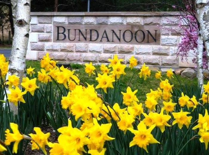 BundanoonAu's tweet photo. Sadly a person has been caught stealing daffodils from the gardens at the Information Bay in Bundanoon.  These daffodils have been paid for and planted by the Bundanoon Community for the enjoyment of all. Please do not pick them! ☹  #donotpick #bundanoon #daffodils https://t.co/ZbrqeUs8QD