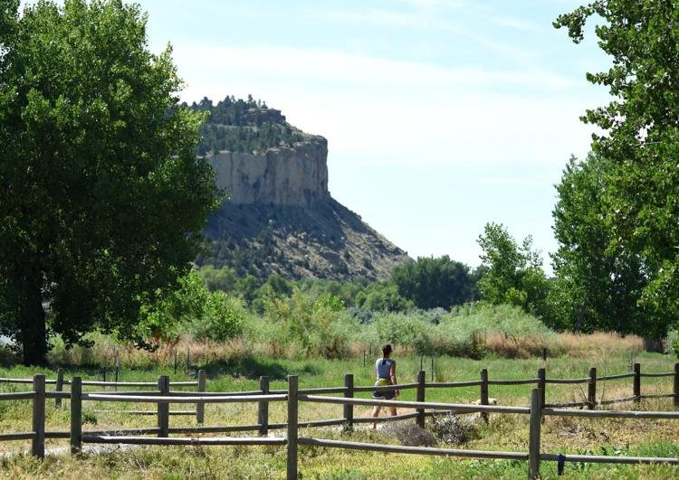 DHM_Design's tweet photo. Gazette opinion: Let's make realistic plan for Billings' Coulson Park https://t.co/t9HMZ0H87q @billingsgazette #gatewaytobillings #coulsonpark https://t.co/428cTGeF20