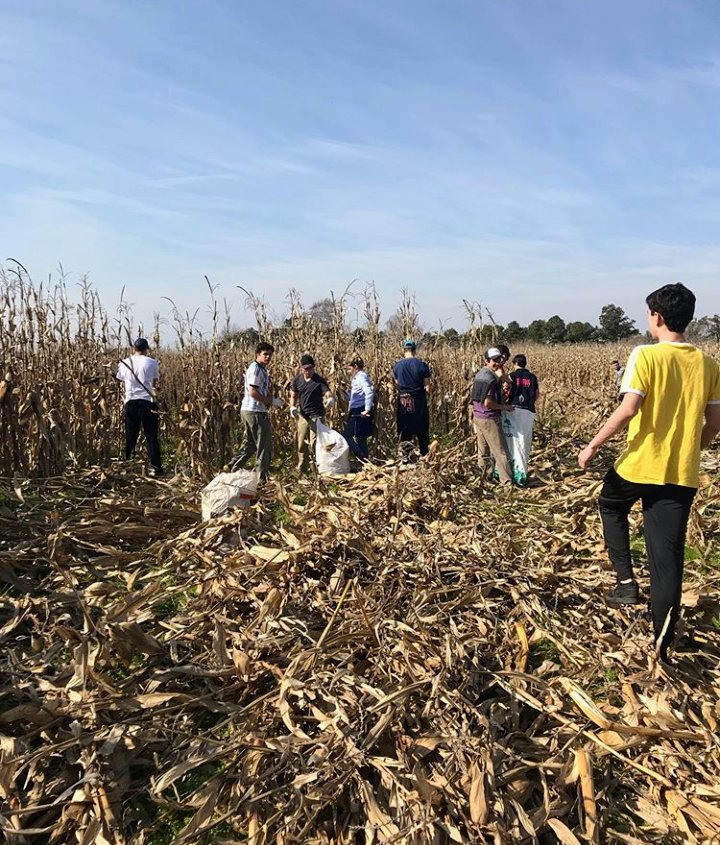 #SOCIEDAD #SOLIDARIDAD - La #chocleada2019 liderada por los jóvenes del <a href="/ateneoSR25/">AteneoSR25</a> #25deMayo, generó unos 15.000 platos de comida destinados a los chicos que alberga el club #ElGlobito 👏 (Material #Diálogos vía feed @dialogos25 en Instagram).
