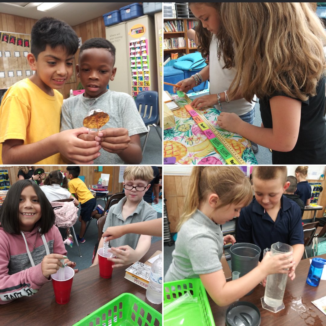 a_mcdonald4's tweet photo. Week 1 was amazing! Can i just say how much I love 3rd grade and my group?! Investigation stations went well and got them hyped! #sciencetools #VCScientists https://t.co/ToWPvP9oSC