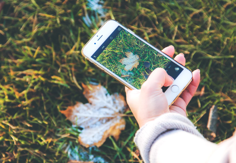SavePotatoesCom's tweet photo. 10 promising circular economy startups that set out to make our world a better place | EU-Startups https://t.co/pDsx0MlUnt https://t.co/q3FEWQO6Z5