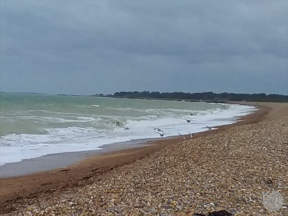 KentstepP's tweet image. Ok latest photos taken today during the bad weather down at West Beach, got some good shots. enjoy - set 3