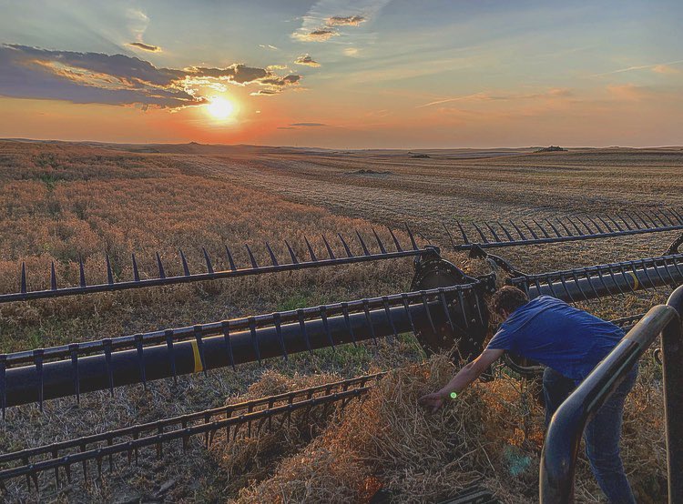 daynavolk's tweet photo. Beautiful evening combining some peas 🌞🌙 https://t.co/3DM0dBbnpA
