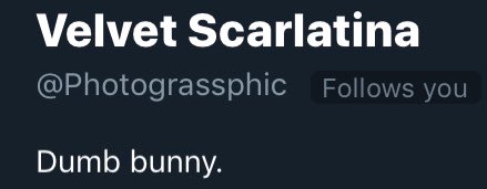 ChocolatteHeels's tweet photo. This is hate speech towards this perfect bunny that she doesn’t want to hear. @Photograssphic https://t.co/0Y14LJhDwT