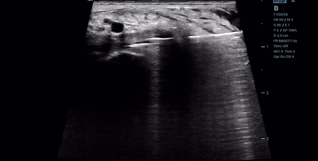 DelawareSonoCrew tweet media