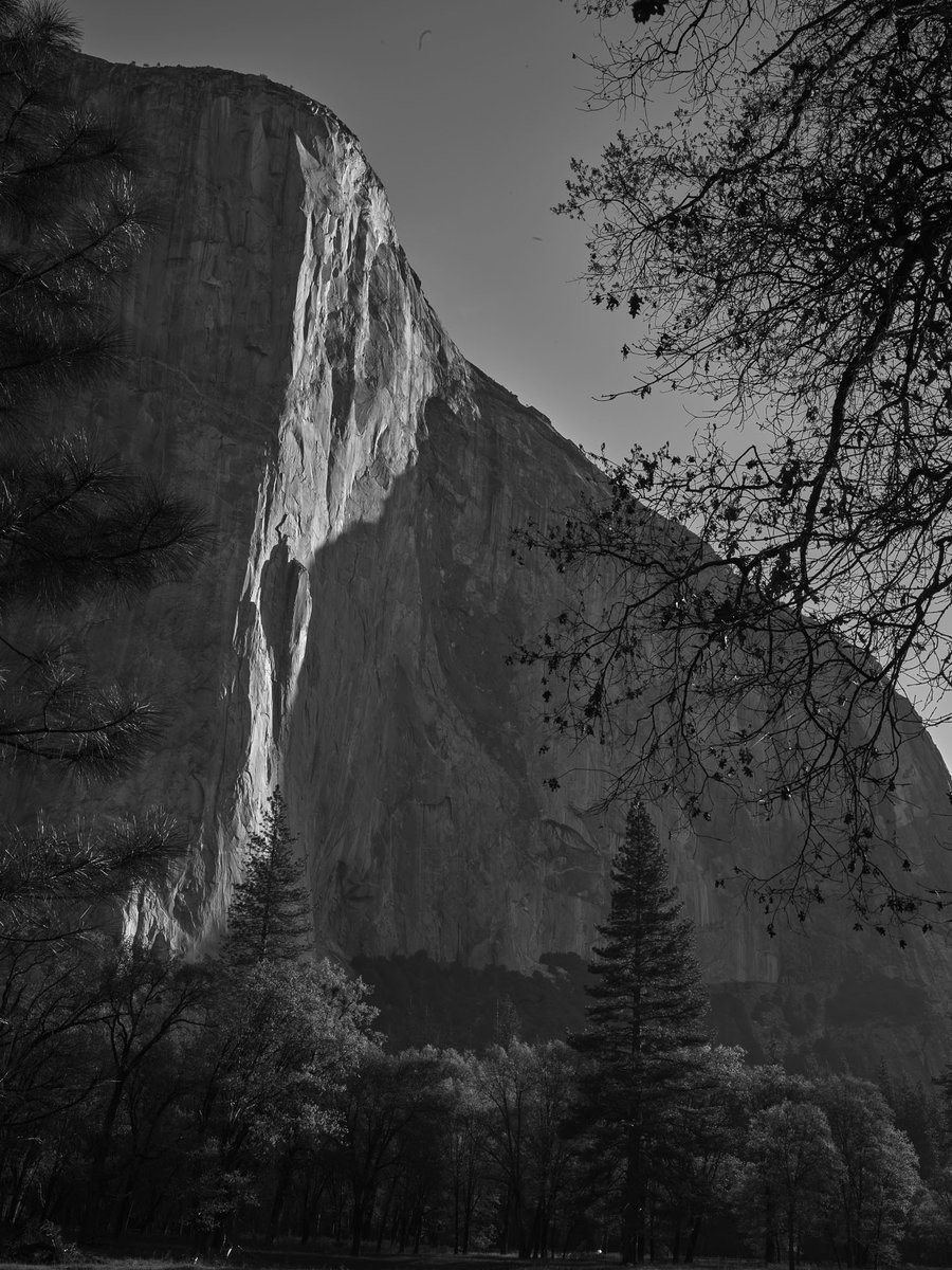 TweetWithDT's tweet photo. We asked this month's featured photographer, Barry Dibernardo, what would be in his kit if he could only bring the essentials. His Cambo view camera made the cut.

Read more about Barry in the full feature: https://t.co/Jej9WCz1ub

 @PhaseOnePhoto @captureonepro @CamboUsa https://t.co/OEllmGtNGB