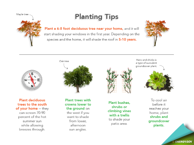 SMUDUpdates's tweet photo. Shade can reduce air conditioning costs by 15-50%.  It’s also one of the prettiest and healthiest improvements you can make.  Studies show that simply looking at trees can lower blood pressure &amp; improve health.  Learn about our FREE shade tree program at https://t.co/b4wCSstvlI https://t.co/OSU8KJBpUh