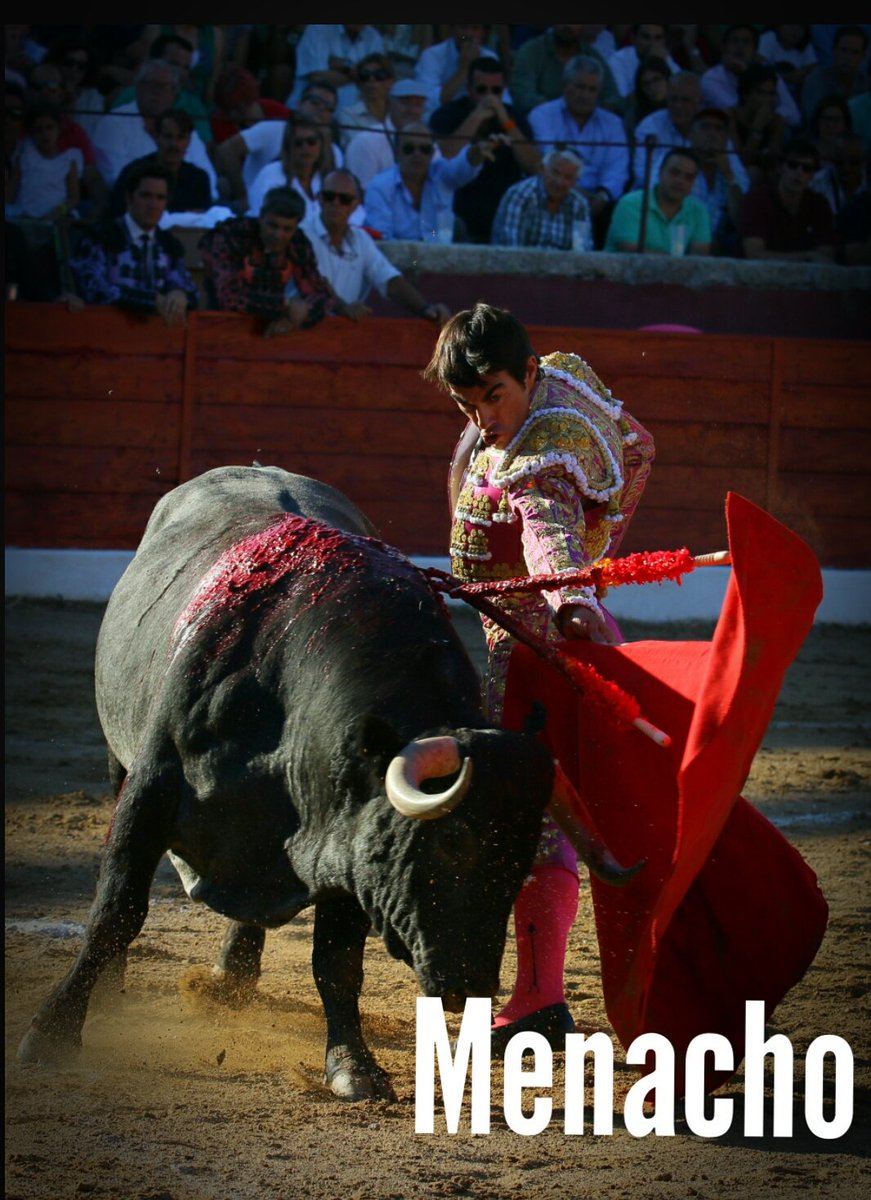objetivoeltoro's tweet photo. Chaves y "ese" momentazo de los toreros que están para gozar de ellos...
Qué manera de cuajar, consentir y mimar al natural un #Victorino en #Vitigudino
Lástima la espada...
@andressanchez93 @inalopez_chaves https://t.co/f1WRMnOHLF