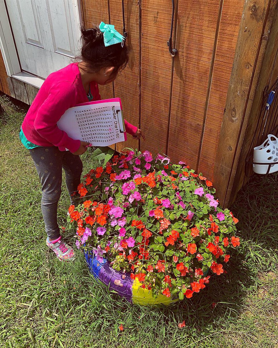 msbnpate's tweet photo. Math in the garden with my 1st graders! They kept saying “this is SO much fun!” 🥰 @eaepanthers #esl https://t.co/xScqMKPe4x