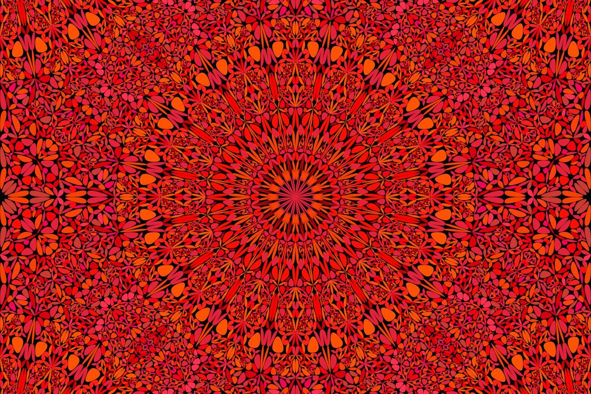 DavidZydd's tweet photo. 48 Seamless Floral Mandala Patterns (AI - EPS - JPG) #BackgroundGraphics #backgrounds #set #mandalacollection #patternset #PatternDesigns #color #MandalaDesign #graphics #BackgroundGraphic #BohoDesign https://t.co/s8HKE0MsLg https://t.co/seoyJEQYKJ