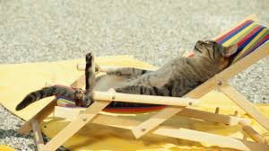 DevOpsDays Galway tweet media