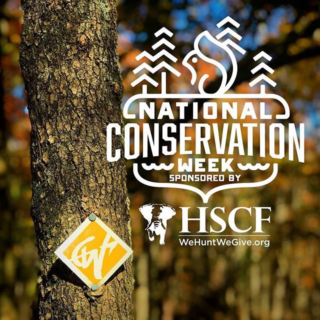 gowildapp's tweet photo. We have teamed up with @houstonsafariclubfoundation to promote an entire week dedicated to educating hunters and anglers on how to get involved and make an impact beyond their dollars — making this our 2nd Annual National Conservation Week!
⠀⠀⠀⠀⠀… https://t.co/ut4ZIfUUjR https://t.co/70RS0LaGKW